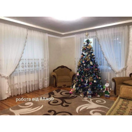 Будинок смт.Берегомет